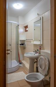 een badkamer met een toilet, een wastafel en een douche bij Vulturul Pescar in Maliuc