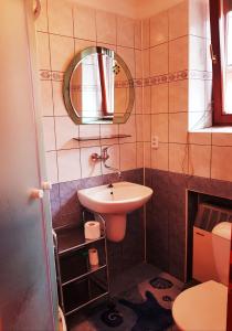 a small bathroom with a sink and a mirror at Privat DAŇO in Lisková