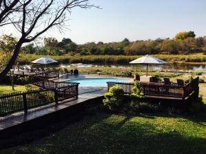een zwembad met tafels en parasols naast een rivier bij Sabie River Bush Lodge in Hazyview