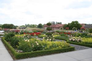 Zahrada ubytování B&B La Vie En Roses