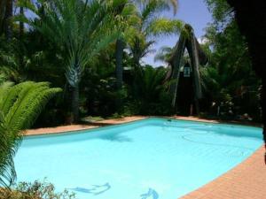 Hồ bơi trong/gần Vido Lodge and Conference Centre