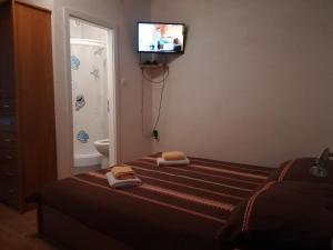 TV a/nebo společenská místnost v ubytování Apartment and Rooms Aračić