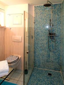 een badkamer met een douche en een toilet bij Höllenstiege in Rathmannsdorf