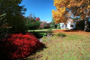 um jardim com arbustos vermelhos e uma casa ao fundo em Back o' the Moon Holiday cottage em Hogsback