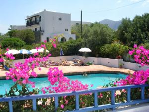 a view of a swimming pool with pink flowers at Sirius Apartments in Hersonissos