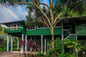 uma casa verde com uma palmeira em frente em Kauai Tree House em Wainiha