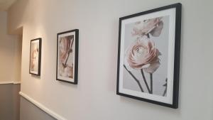 Fotografie z fotogalerie ubytování Boutique Hotel Kugel Wien ve Vídni