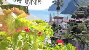 a view of a town and the ocean at Vivenda Linda Vista in Porto da Cruz