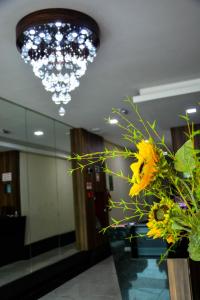 Gallery image of San Marino Hotel in Rio Pomba