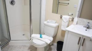 a bathroom with a shower and a toilet and a sink at Valencia Suite - 2 Bedroom basement in Jasper