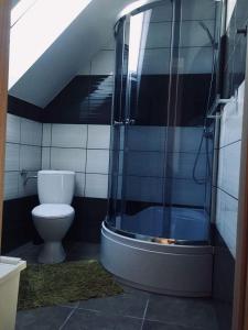 ein Bad mit einer Dusche und einem WC in der Unterkunft Siedlisko na Zaciszu domek in Kąty Rybackie