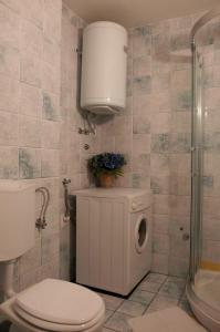 a bathroom with a toilet and a washing machine at Spacious balcony apartment Piran in Piran