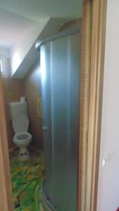 a bathroom with a toilet in a room at Vila Thetis in Mamaia Nord