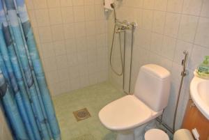 a bathroom with a shower with a toilet and a sink at Guest House Haapaniemen Hirsikartano in Iisalmi +37 photos