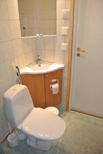 a bathroom with a white toilet and a sink at Guest House Haapaniemen Hirsikartano in Iisalmi