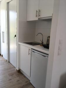 A kitchen or kitchenette at Alegria Kefalonia