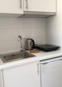 A kitchen or kitchenette at Alegria Kefalonia