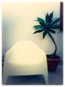 Gallery image of Donna Maria b&b in Favignana