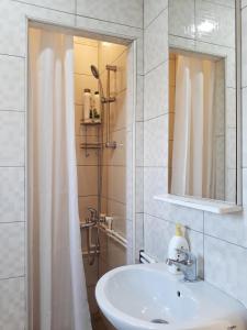 ein Bad mit einem Waschbecken und einer Dusche mit einem Spiegel in der Unterkunft Duke in Žabljak