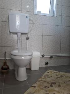 a bathroom with a toilet with a window and a rug at Duke in Žabljak +21 photos