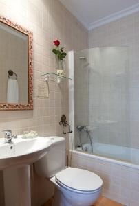 y baño con aseo, lavabo y ducha. en Hotel Don Carlos Cáceres en Cáceres