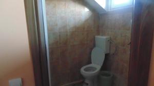 a bathroom with a toilet and a shower at Vila Thetis in Mamaia Nord