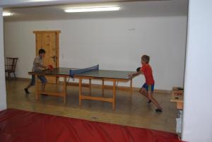 Stolní tenis v ubytování Kinderbauernhof Leneler nebo okolí