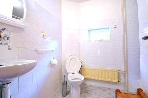 a bathroom with a toilet and a sink at Pension Centrum in Špindlerův Mlýn