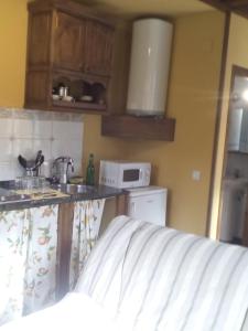 - une cuisine avec un évier et un comptoir dans l'établissement Apartamento Rural El Oso 2, à Pola de Somiedo