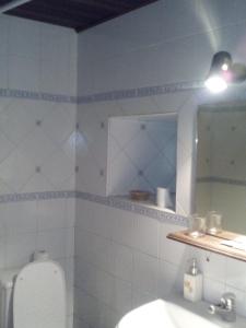 a bathroom with a toilet and a sink and a mirror at Apartamento Rural El Oso 2 in Pola de Somiedo