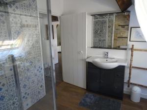 Le ViganLe Vallonnet Gîte的带水槽和淋浴的浴室