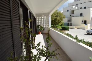 un patio interior de una casa con plantas en Apartamento T2 com Piscina e Wifi a 350 metros da Praia, en Roja- Pé