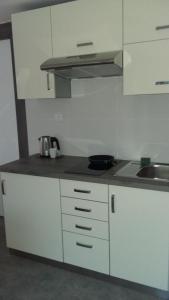 Kuchyňa alebo kuchynka v ubytovaní Apartment Moravský Kras