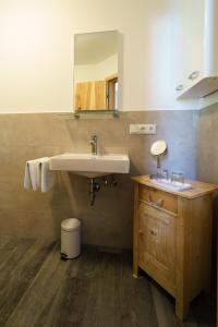 a bathroom with a sink and a mirror at Malerhaus am Kolbergarten in Bad Tölz