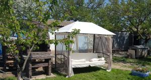 En have udenfor Casa Bunicilor Granny's House