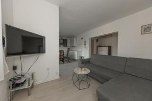 トロギールにあるApartments Zajcのリビングルーム(グレーのソファ、薄型テレビ付)