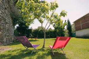 two chairs sitting in the grass next to a tree at Galpon Boutique Aldea De Abaixo in Palas de Rei 