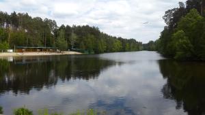 a view of a river with trees in the background at Park Puscha Sauna Deluxe Apartment & Terrace in Kyiv +9 photos