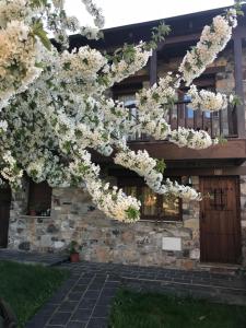 Zahrada ubytování Casa Rural Magdalena + 9 fotografií
