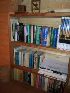 Biblioteka w domu w stylu alpejskim