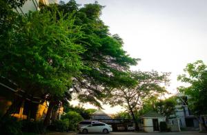a white car parked in front of some trees at Baan Boonanan Apartment in Ban Talat Rangsit