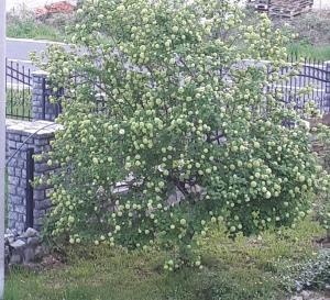 Foto dalla galleria di Nia a Bihać Altre 35 foto