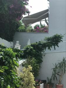 a garden with plants and flowers on a wall at Sailor's Nautical Concept in Spetses