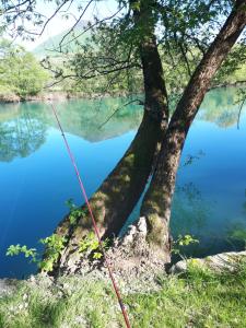 Foto dalla galleria di Nia a Bihać