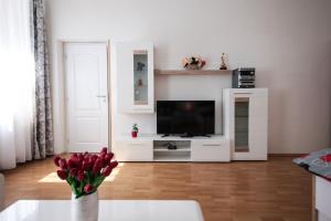 a living room with a television and a vase of flowers at Family Duplex on Wenceslas square in Prague