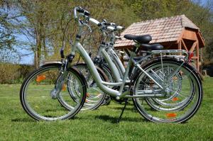 Zwei Fahrräder standen nebeneinander im Gras. in der Unterkunft Retrodom in Retowo