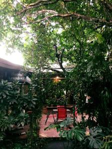 Κήπος έξω από το Hotel Aranjuez