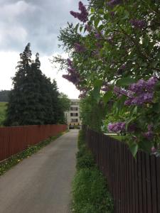 ヴィスワにあるApartament Premium Deluxの道路脇の紫色の花の柵