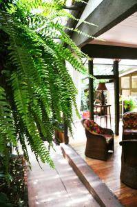 Κήπος έξω από το Hotel Aranjuez