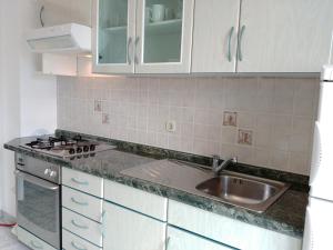 Kuchyňa alebo kuchynka v ubytovaní Apartments Vlasici